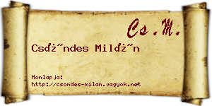 Csöndes Milán névjegykártya